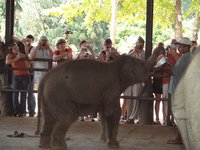 Klikni pro zv�t�en� na obrazovku