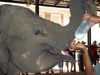 Klikni pro zv�t�en� na obrazovku