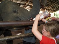 Klikni pro zv�t�en� na obrazovku