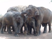 Klikni pro zv�t�en� na obrazovku