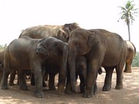 Klikni pro zv�t�en� na obrazovku