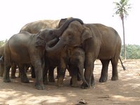 Klikni pro zv�t�en� na obrazovku