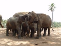 Klikni pro zv�t�en� na obrazovku