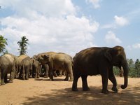 Klikni pro zv�t�en� na obrazovku