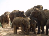 Klikni pro zv�t�en� na obrazovku