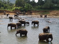 Klikni pro zv�t�en� na obrazovku