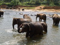 Klikni pro zv�t�en� na obrazovku