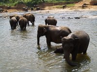 Klikni pro zv�t�en� na obrazovku