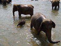 Klikni pro zv�t�en� na obrazovku