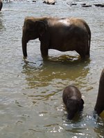 Klikni pro zv�t�en� na obrazovku