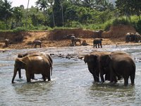 Klikni pro zv�t�en� na obrazovku