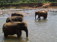 Klikni pro zv�t�en� na obrazovku