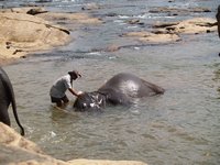 Klikni pro zv�t�en� na obrazovku