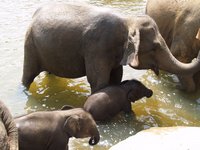 Klikni pro zv�t�en� na obrazovku