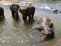 Klikni pro zv�t�en� na obrazovku