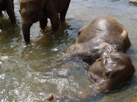 Klikni pro zv�t�en� na obrazovku