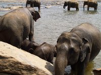 Klikni pro zv�t�en� na obrazovku