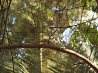 Klikni pro zv�t�en� na obrazovku