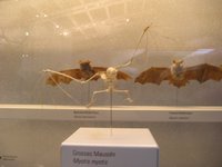 Click to see big picture (2048x1536 pixels; 685 KB)