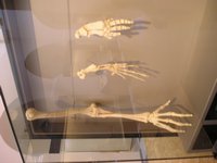 Click to see big picture (2048x1536 pixels; 742 KB)