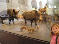 Click to see big picture (2048x1536 pixels; 684 KB)