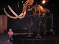 Click to see big picture (2048x1536 pixels; 692 KB)