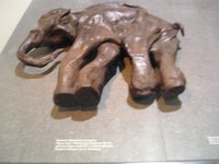 Click to see big picture (2048x1536 pixels; 666 KB)