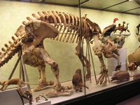 Click to see big picture (2048x1536 pixels; 669 KB)