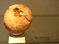 Click to see big picture (2048x1536 pixels; 709 KB)