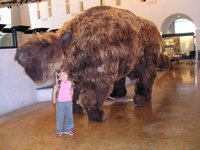 Click to see big picture (2048x1536 pixels; 706 KB)